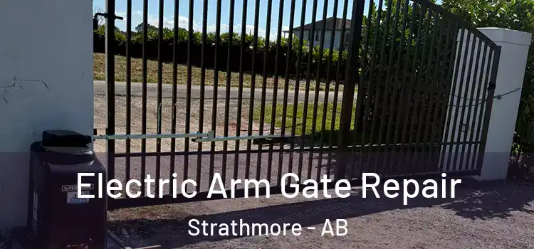 Electric Arm Gate Repair Strathmore - AB