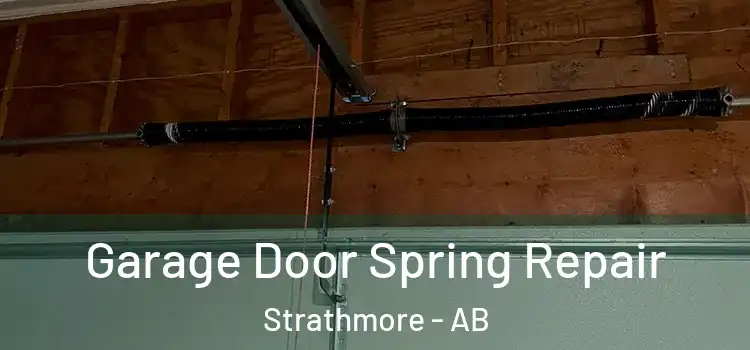  Garage Door Spring Repair Strathmore - AB