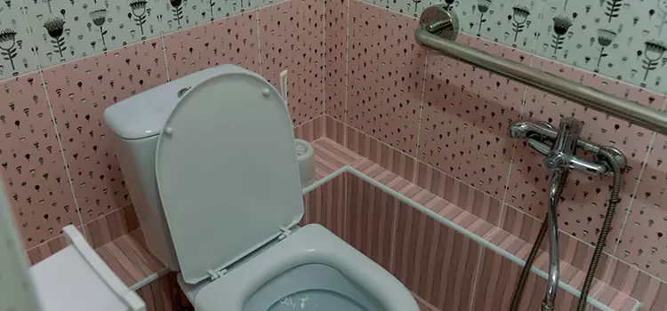 Meeting Diverse Needs With Accessible Restroom Solutions in Strathmore, AB