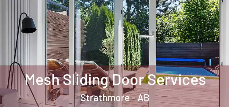 Mesh Sliding Door Services Strathmore - AB